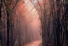 九游会：日本后卫关根大辉：我的目标是参加世界杯，若有机会会尽全力.