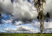 [CBA]南京头排苏酒击败辽宁本钢.