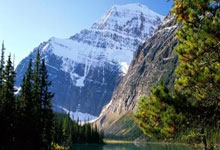 九游会：[CBA]孙思辰：辽宁队夺冠实至名归.