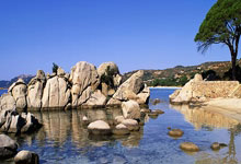 [CBA]南京头排苏酒击败辽宁本钢.